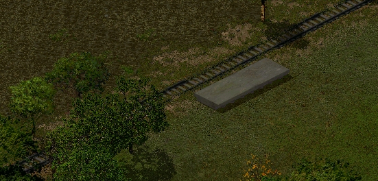 02.JPG