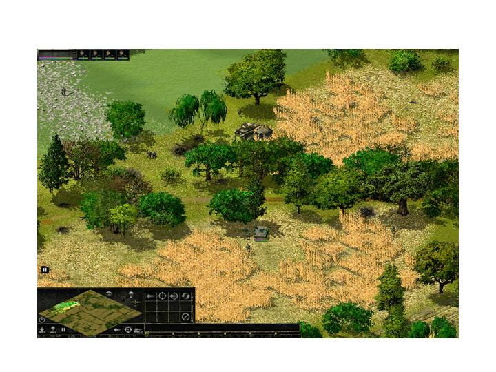 Furt.jpg