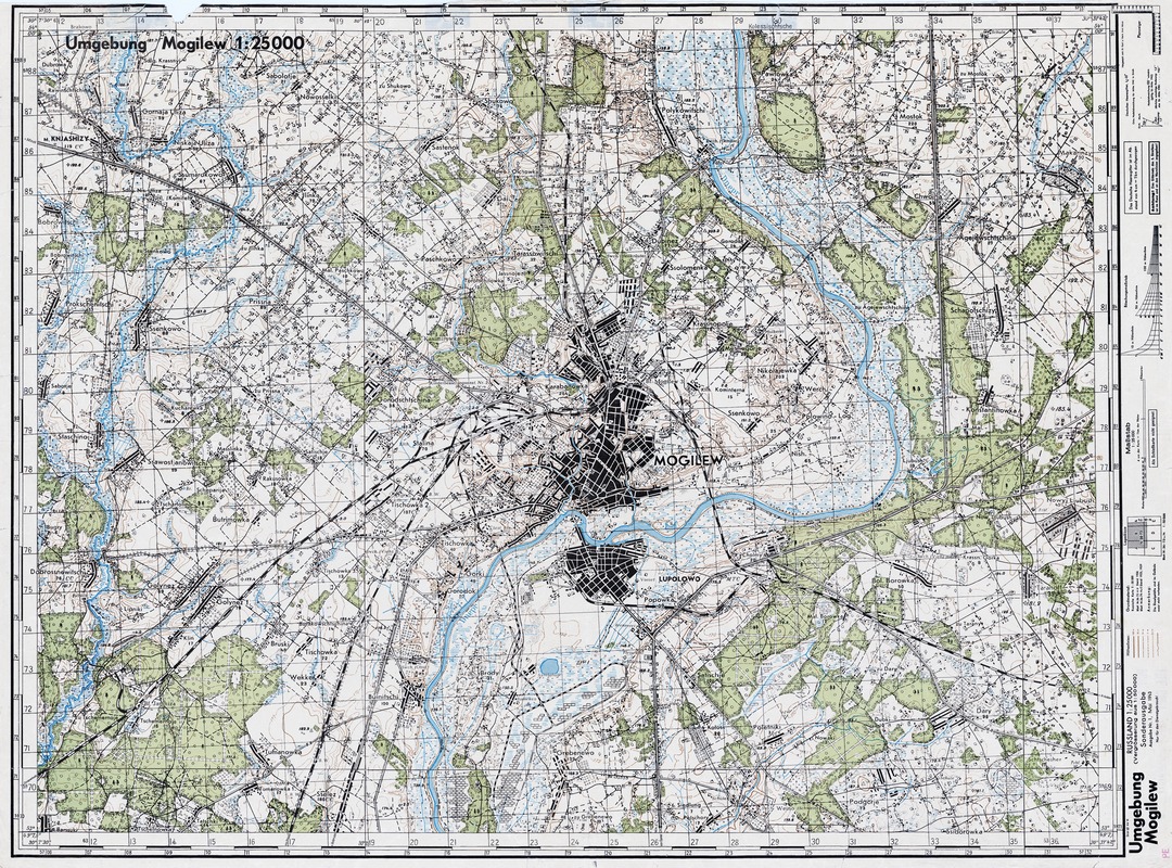 Mogilev map.jpg