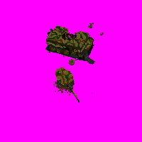 P001.bmp